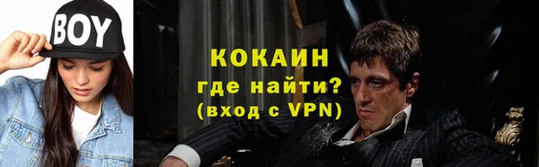 прущие грибы Белокуриха