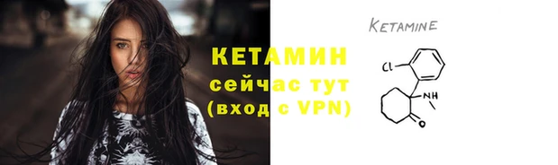 прущие грибы Белокуриха