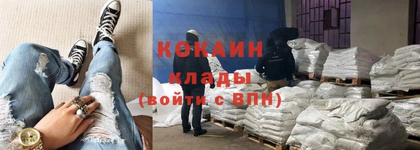 прущие грибы Белокуриха