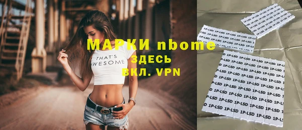 прущие грибы Белокуриха