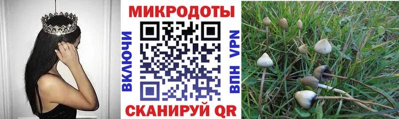 Галлюциногенные грибы мухоморы Купить Приозерск